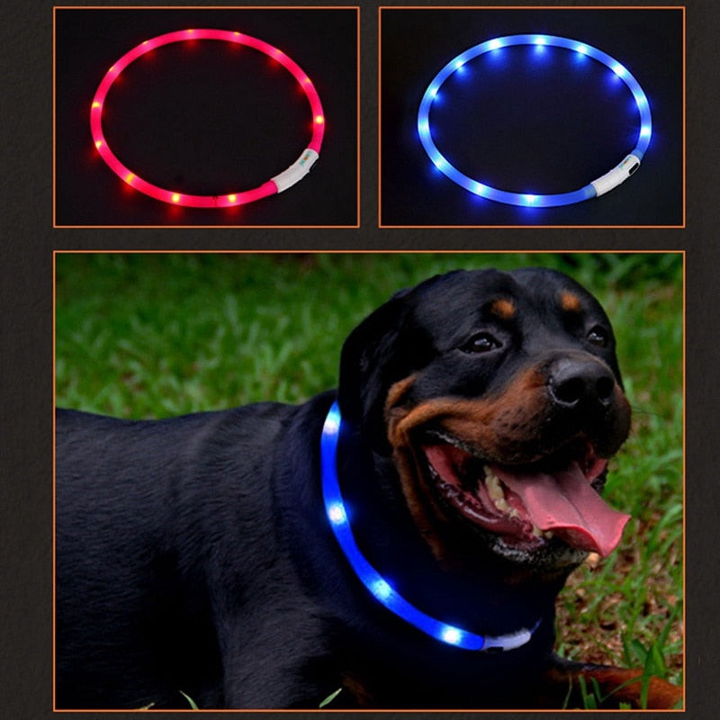 USB Rechargeable Led Dog Collar Anti-Lost/ Car Accident Avoid Collar For Dogs Puppies Dog Cats Collars Luminous Pet Supplies