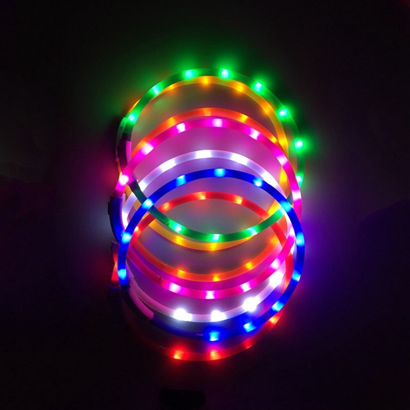 USB Rechargeable Led Dog Collar Anti-Lost/ Car Accident Avoid Collar For Dogs Puppies Dog Cats Collars Luminous Pet Supplies